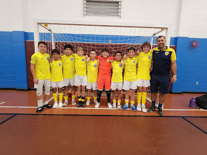 SWFL United Futsal Club