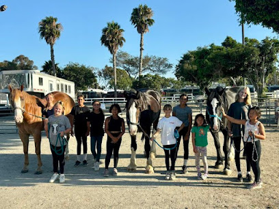 OC Equestrian Vaulting
