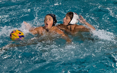 Mesa Water Polo