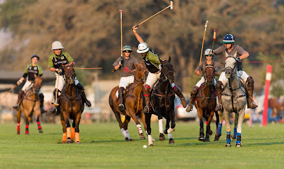 Alumine Polo