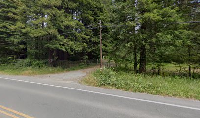 CPH Logging Sports Club (field)