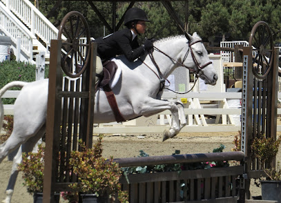 ACROSS THE RAILS RIDING ACADEMY