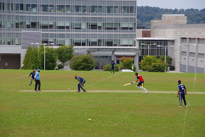 Danbury Cricket Club