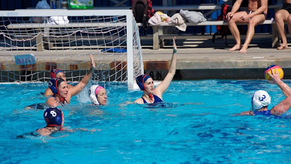 Tampa Bay Water Polo