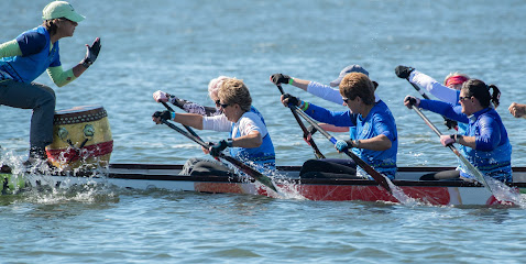Charlotte Harbor Dragons