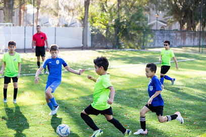 Vives Soccer Academy