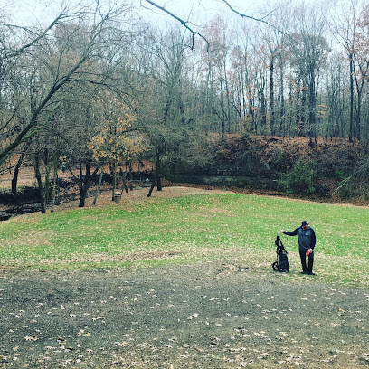Disc Golf Chicago