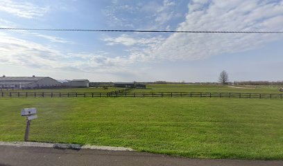 Black Dog Farm