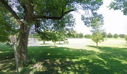 Cricket Pitch