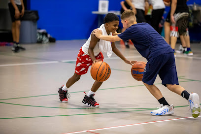 WSD Basketball Training / Arsenal AAU Basketball