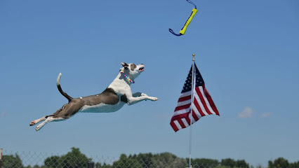 Montana K9 Aquatics