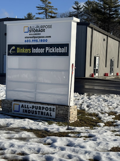Dinkers Indoor Pickleball