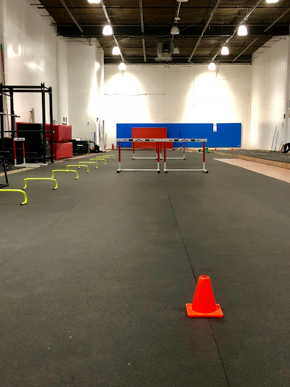 High Intensity Track