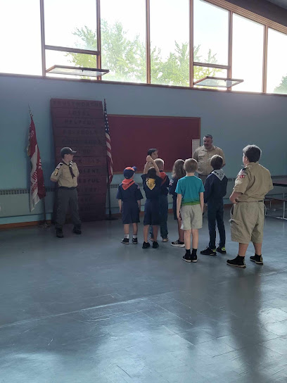 Scout troop 715