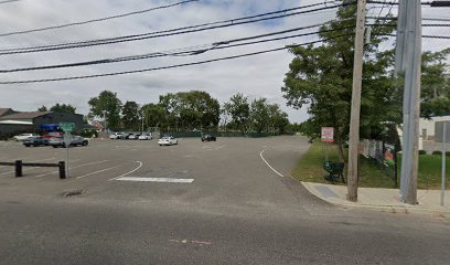 Pro Game Fields