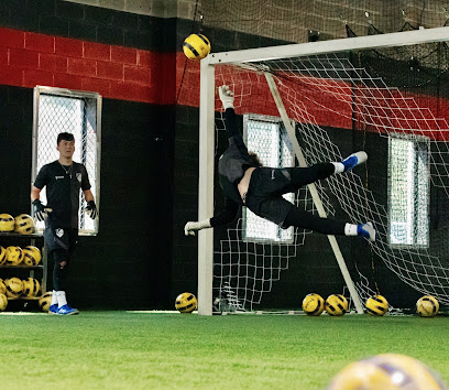 Kronis Academy™️ Goalkeeper Training Center Official Site