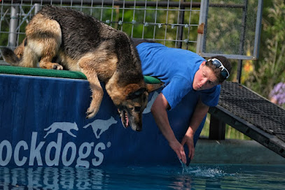 Canine Superheroes
