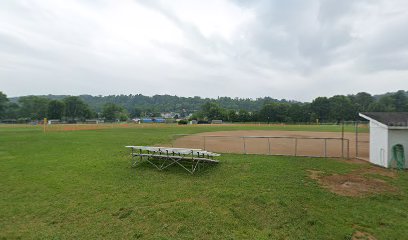 Lowell Baseball/Softball League Fields