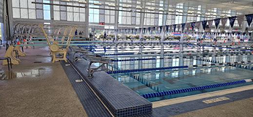 Texas Elite Swimming