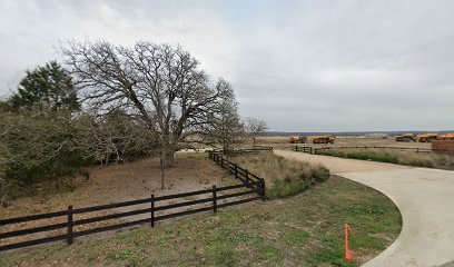 Austin Surf Club