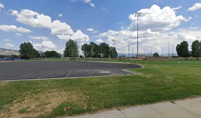 Wasp Field