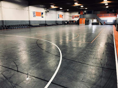 LIGA LCA