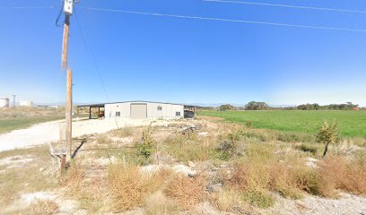 9 Mile kennels