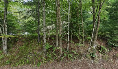 VASA – Central Vermont Quad Runners – Stockbridge Trailhead