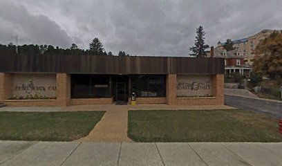 Black Hills Pioneer