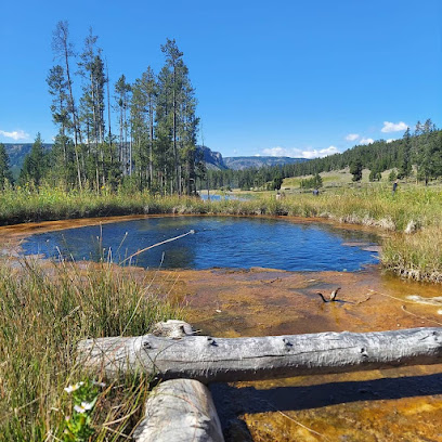 West Yellowstone News
