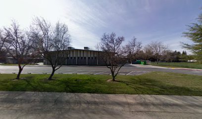 Field 4