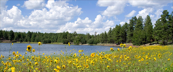 Kaibab National Forest