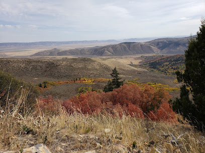 Soda Springs