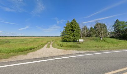 Walkinshaw Wetlands or Huron-Manistee National Forest