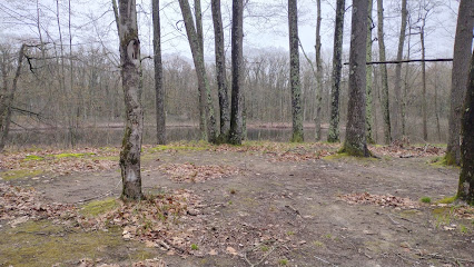 Manistee National Forest