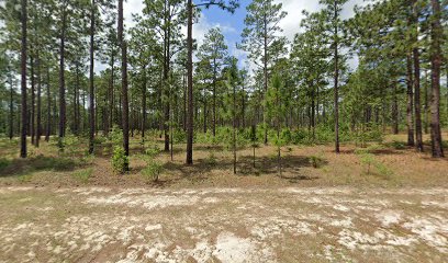 Sandhills of South Carolina