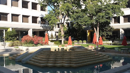 Southwest Sunnyvale Living Magazine